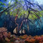 Sea Secrets Tell All